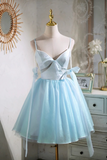 Sky Blue Spaghetti Straps Party Dress, Cute A Line Tulle Homecoming Dress APH0252