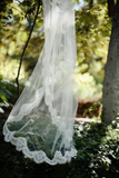 Alencon Lace Edged Cathedral Length Tulle Bridal Veil Wedding APWV0008