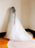 1T Tulle with Lace Wedding Bridal Veil Cathedral Length APWV0017