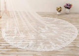 3M Long Embroidered Lace Cathedral Veil for Wedding APWV0002