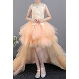 Anneprom Kids Girls Beautifull Sleeveless Fancy Lace Dresses APF0002