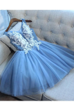 Anneprom Blue Tulle A Line Lace Appliques Short Homecoming Dresses APH0055