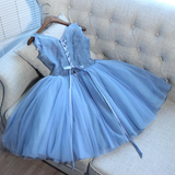 Anneprom Blue Tulle A Line Lace Appliques Short Homecoming Dresses APH0055