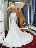 Anneprom Trumpet/Mermaid Scoop Wedding Dress,Lace Wedding Dresses Weeding Gowns APW0284